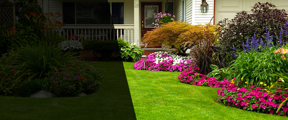 Hobe Sound Landscapers