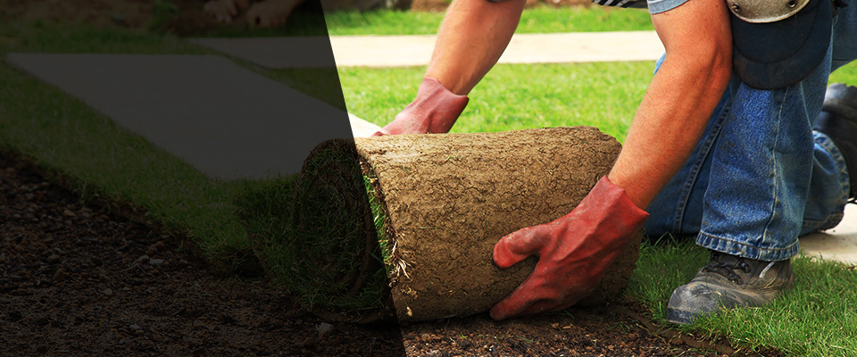 Hobe Sound Landscapers